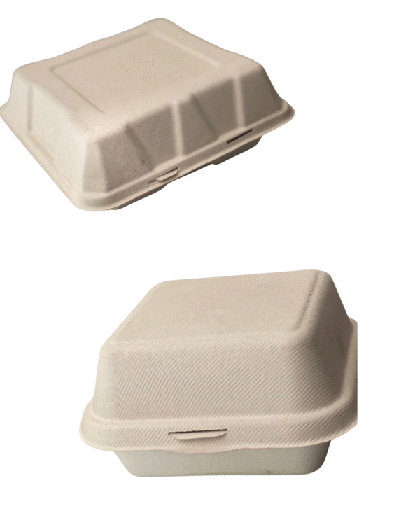 biryani box